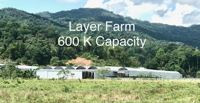 Sustainable production methods