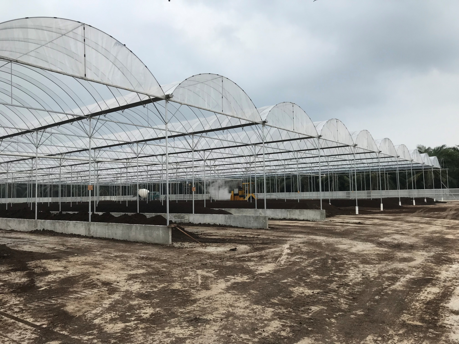 Organic fertilizer production facility