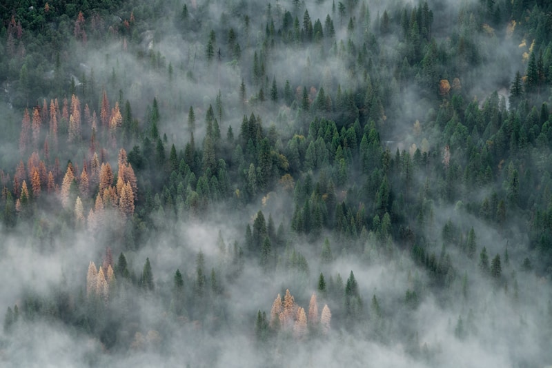 listing_image