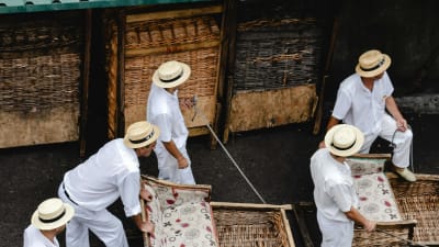 Tur med korgsl�dar till Livramento