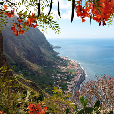 Vinfestival p blomstern Madeira 