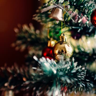 Stämningsfullt julfirande i Kalmar
