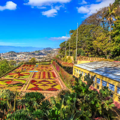 Madeira, blommornas ö