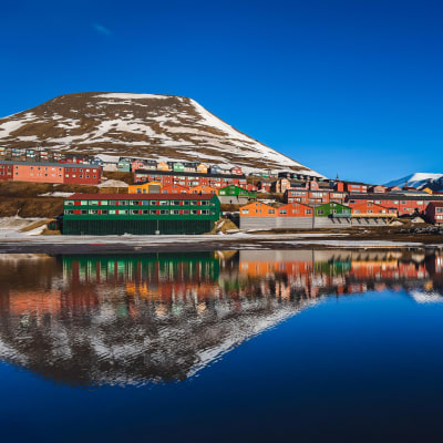 Svalbard - Nordenskiöldbreen, hundspann & champagneprovning
