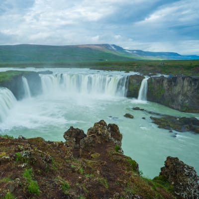 Kryssning runt Island med Reykjavik