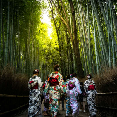 Det tidl�sa Japan � tempel, tr�dg�rdar och moderna metropoler