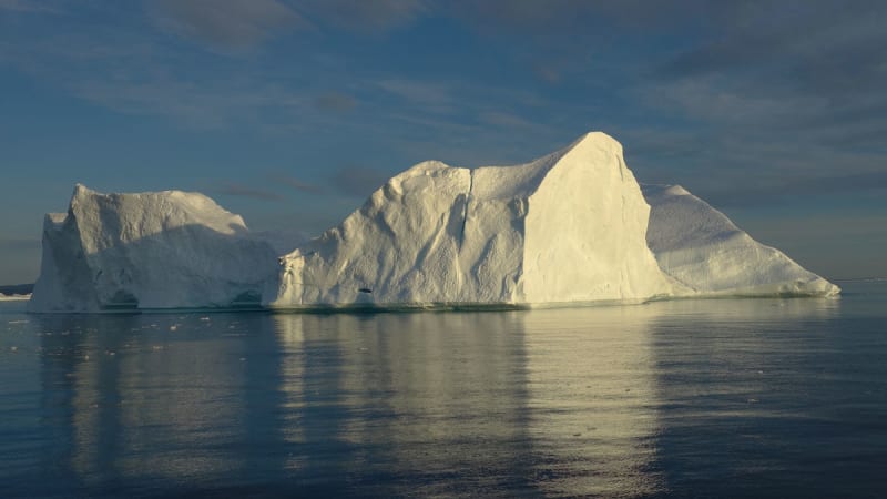 Utflykt till isfjorden och valsafari