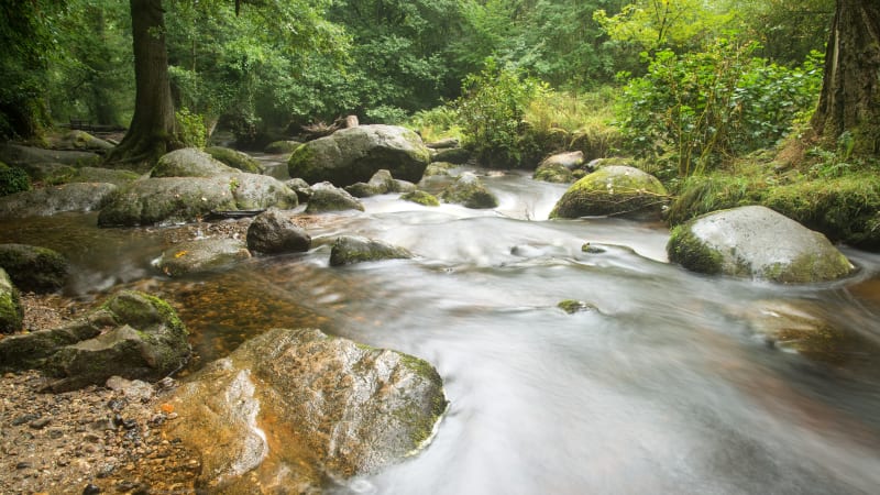 Vandring i Dartmoor nationalpark, ngtg & bttur Dartmouth Rail River