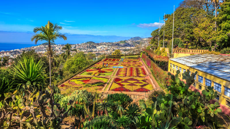 Heldagsutflykt, Funchal, Madeira