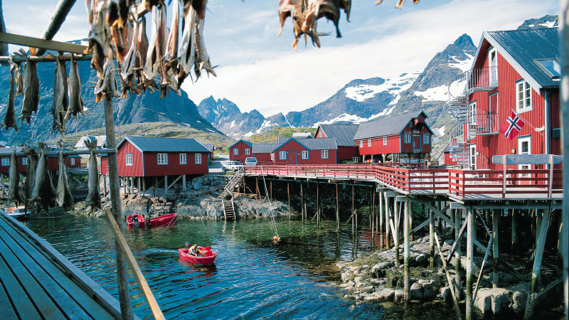 Vesterlen & Lofoten