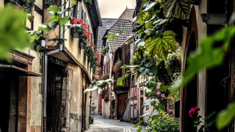 Pittoresk gata i Colmar