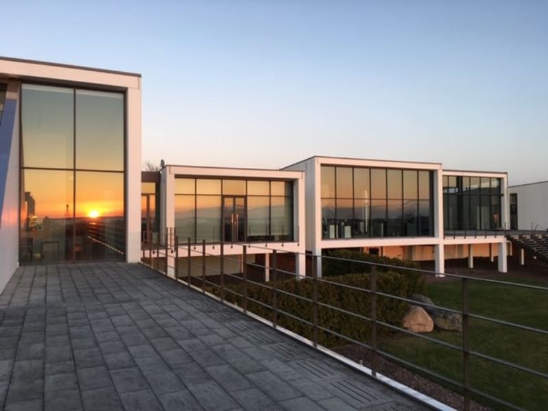 Konstresa till �land 