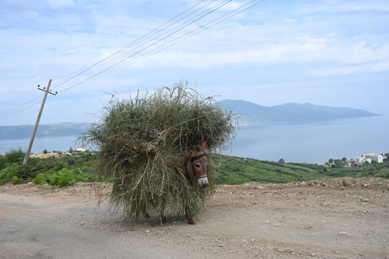 Uppt�ck Albaniens p�rlor 