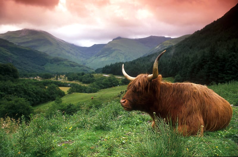 Yttre Hebriderna och Skottlands h�jdpunkter 