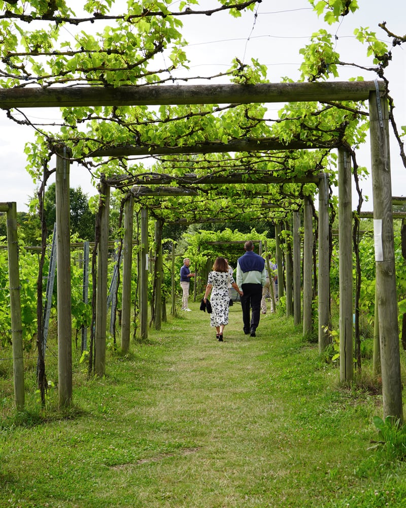 Ving�rdar i Sk�ne & Lars Lerins nya konsthall