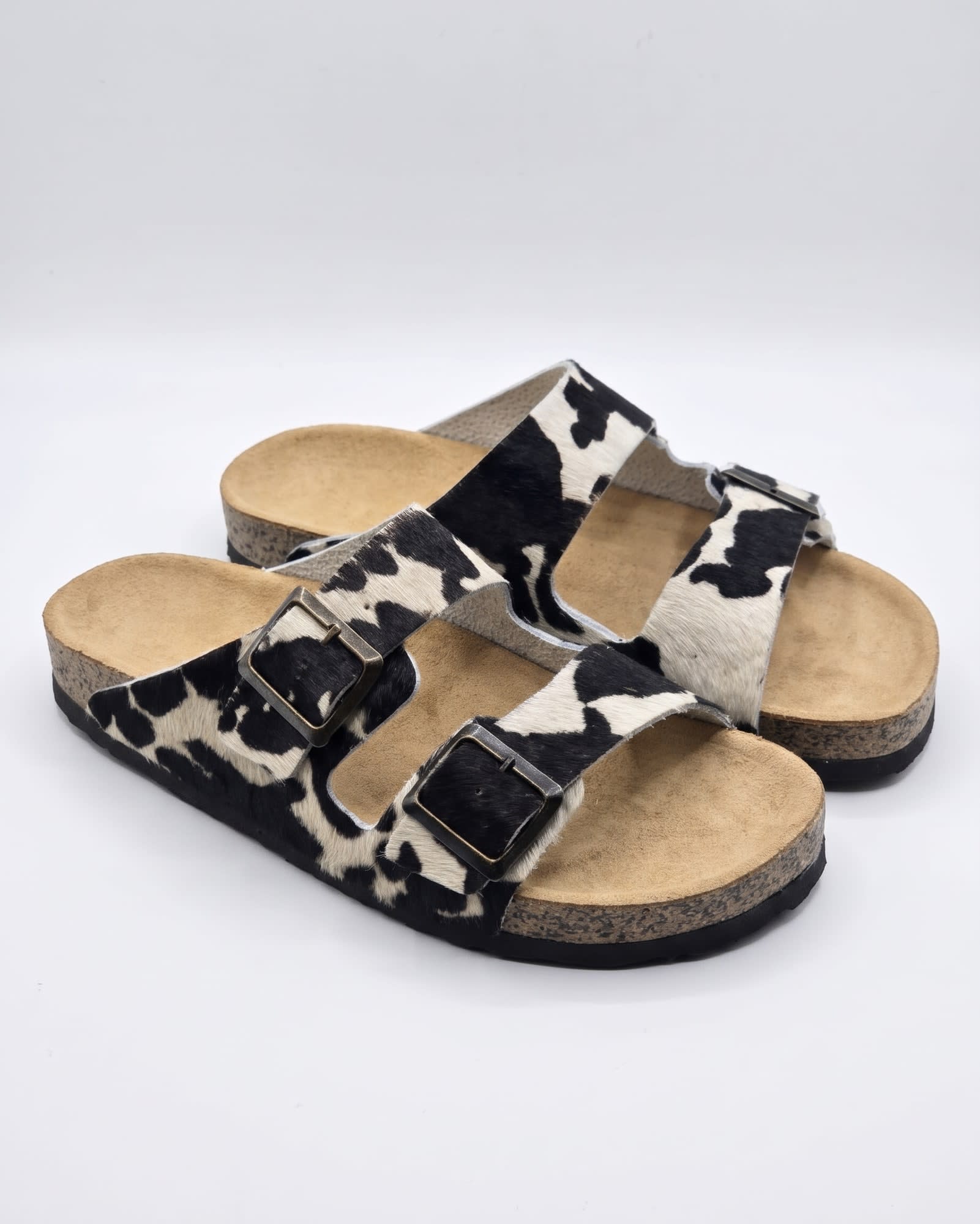 JAIRO COW Cow negro