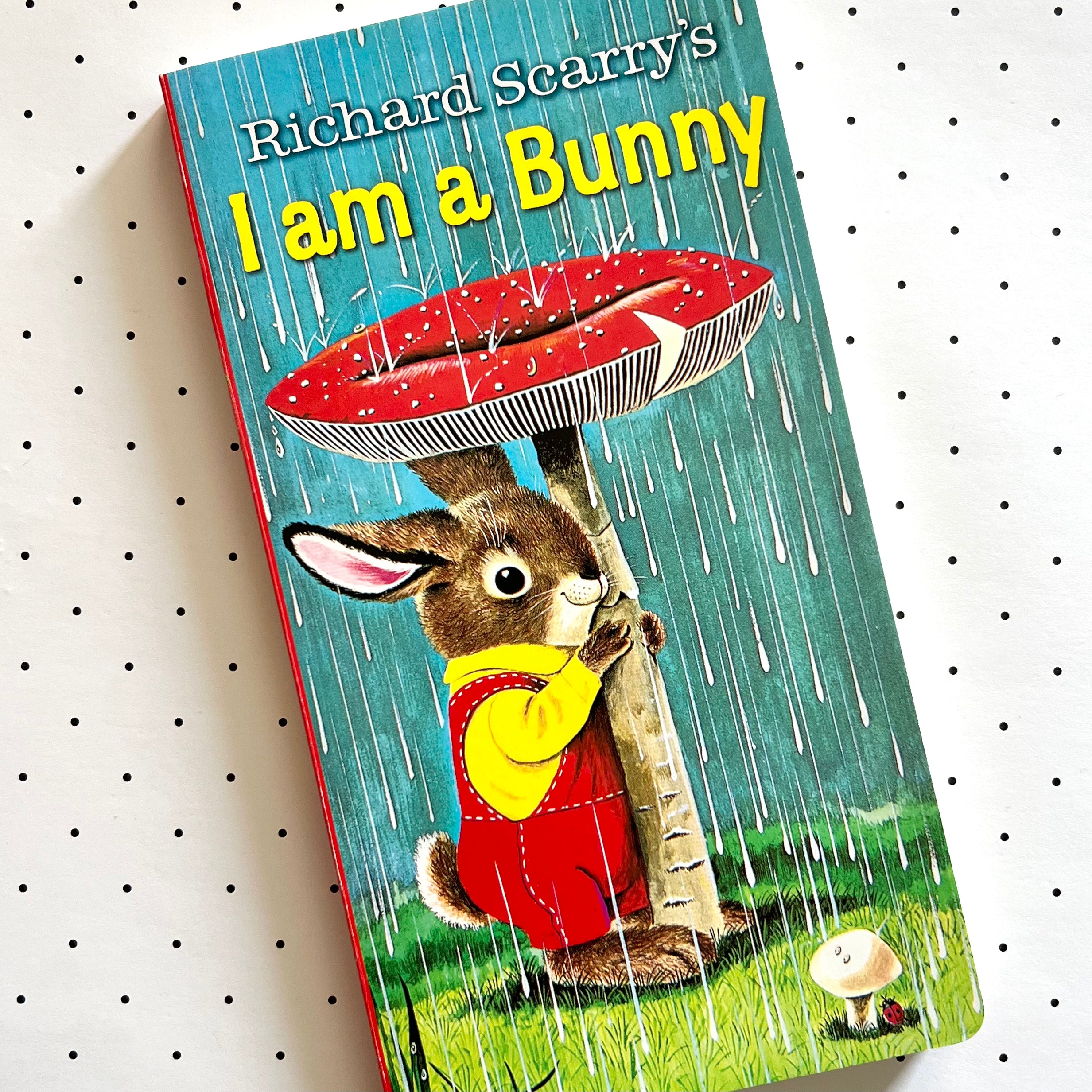 I Am a Bunny Board Book