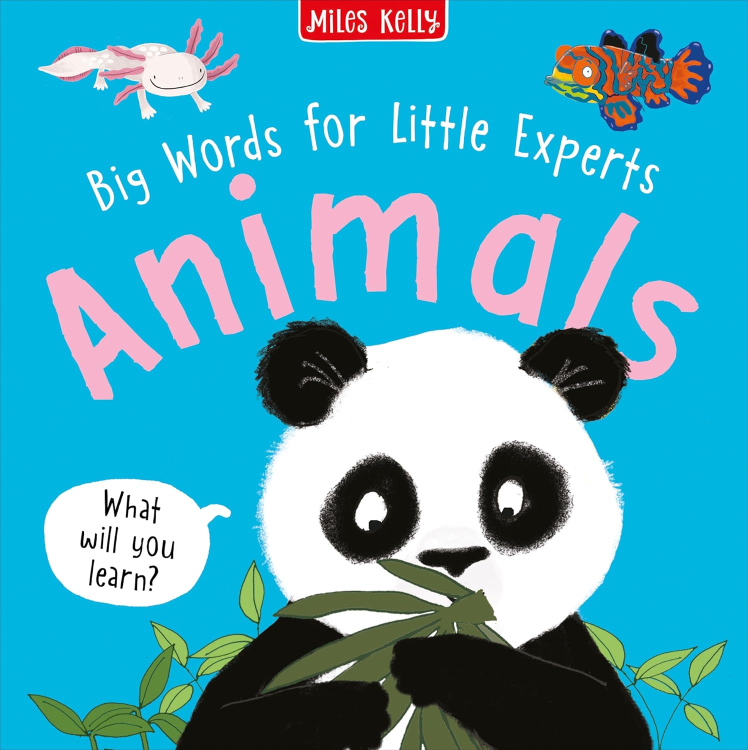 Miles Kelly - Big Words for Little Experts | Animals
