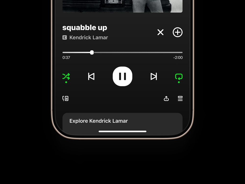Spotify iOS UI demonstrating consistent alignement and icon styling