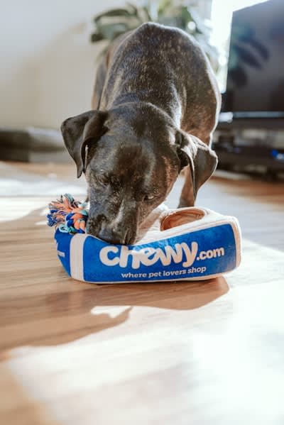 Pet Food products prepared for UK fulfilment dispatch