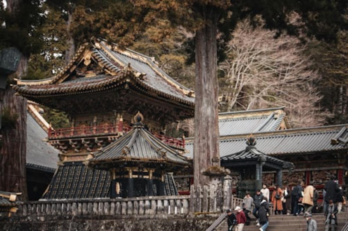 Nikko Private Tour from Tokyo by Car (With Hotel Pickup)