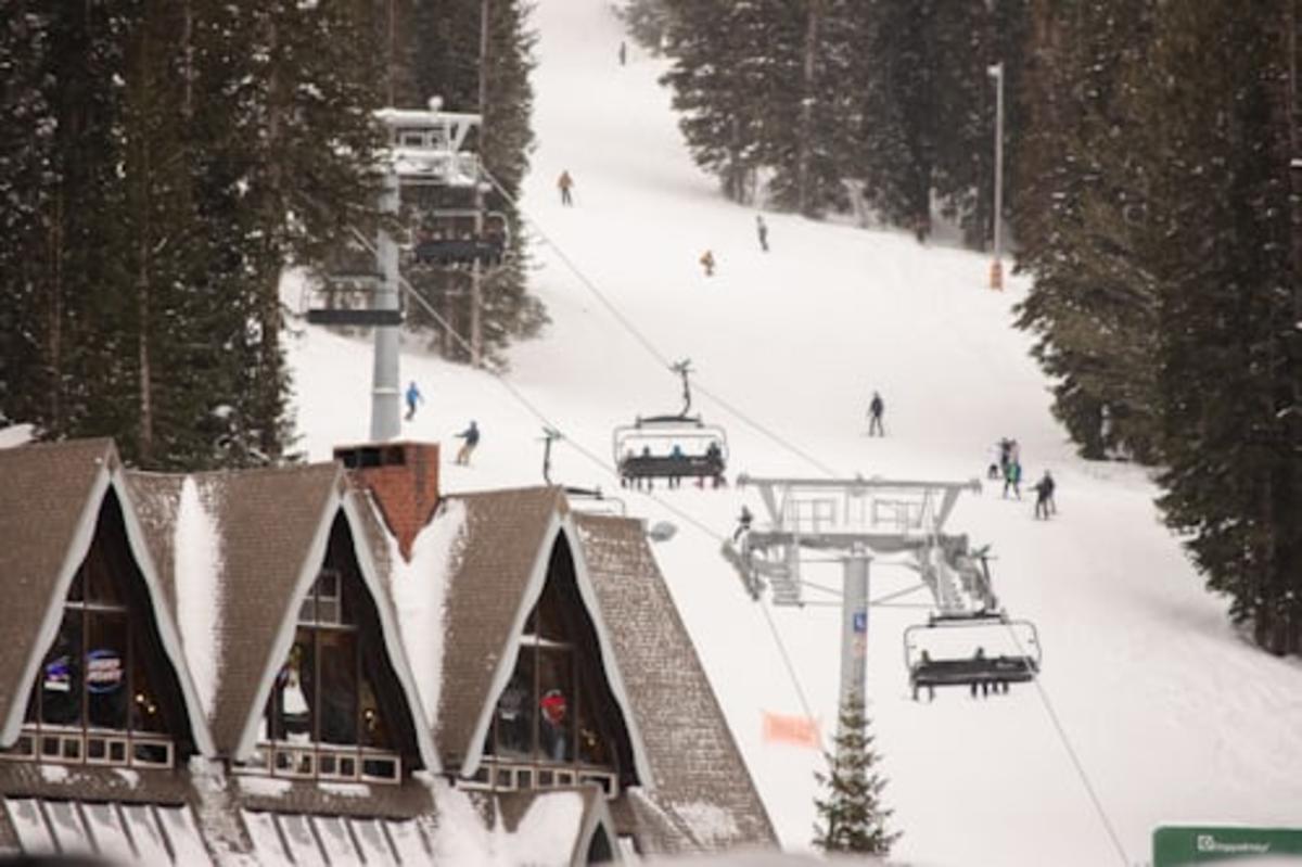 Private Snow Resort Tours from Tokyo | Niigata & Tochigi