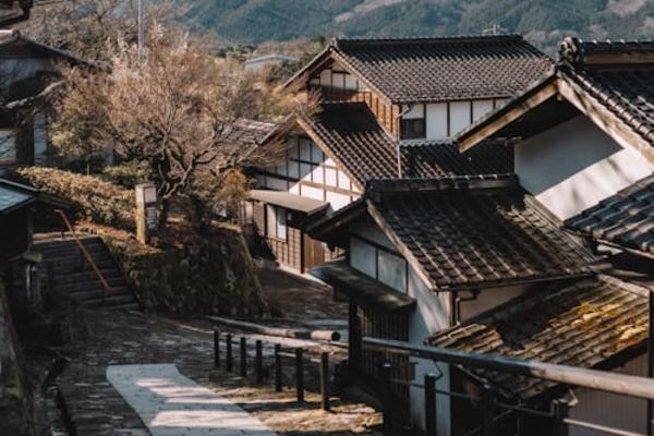 Mount Fuji Private Tour from Tokyo by Car (With Hotel Pickup) 3