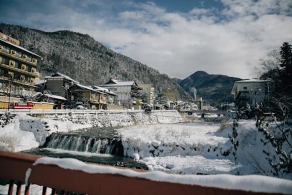 Nagano Snow Monkey Park Full-Day Private Guided Tour 4