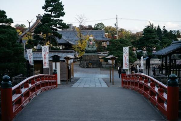 Nagano Snow Monkey Park Full-Day Private Guided Tour 5