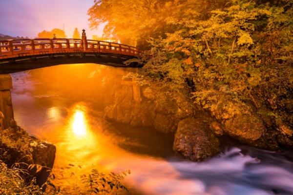 Nikko Private Tour from Tokyo by Car (With Hotel Pickup) 3