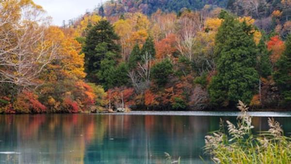 Nikko Private Tour from Tokyo by Car (With Hotel Pickup) 4