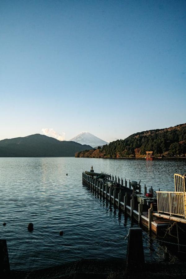 Mount Fuji & Hakone Private Tour from Tokyo by Car (With Hotel Pickup) 4