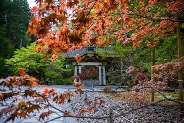 Tokyo & Nikko Heritage 2-Day Tour By Car | Hotel Pickup 5