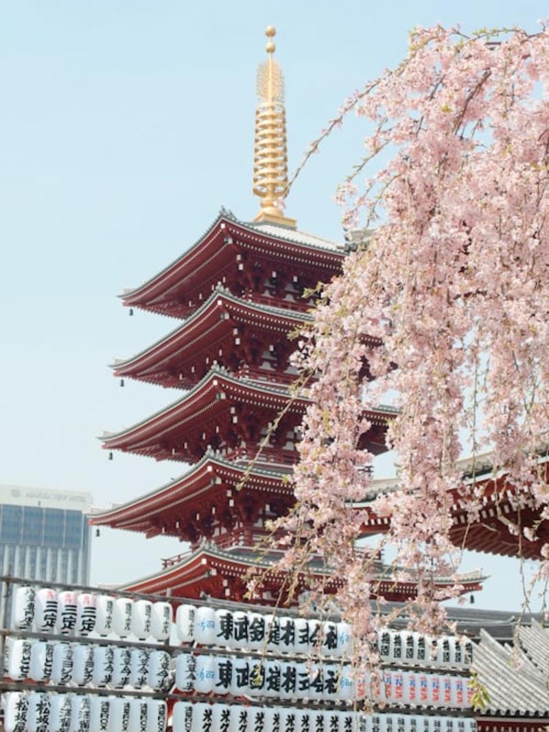Mount Fuji Private Tour from Tokyo by Car (With Hotel Pickup) Gallery Image 4