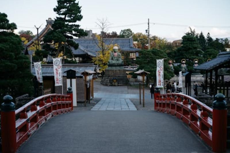 Nagano Snow Monkey Park Full-Day Private Guided Tour Gallery Image 5