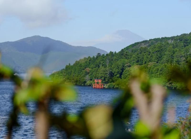 Mount Fuji & Hakone Private Tour from Tokyo by Car (With Hotel Pickup) Gallery Image 3