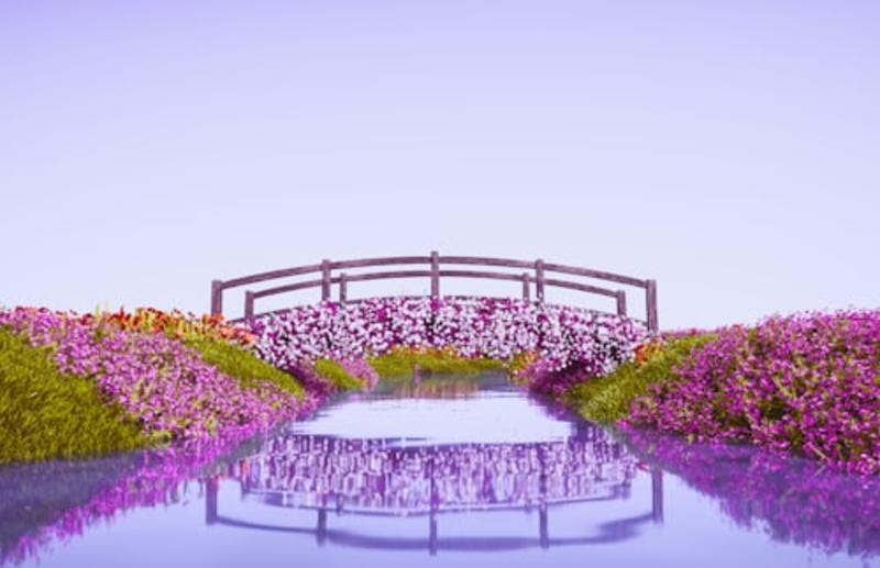 Ashikaga Flower Park & Sano Premium Outlets Day Tour from Tokyo Gallery Image 1