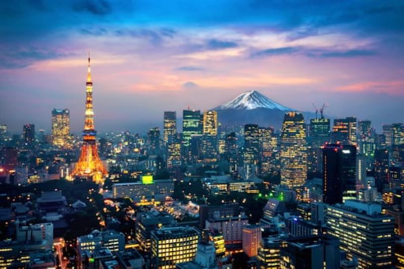 Tokyo Private Full-Day Tour by Car (With Hotel Pickup) Gallery Image 1