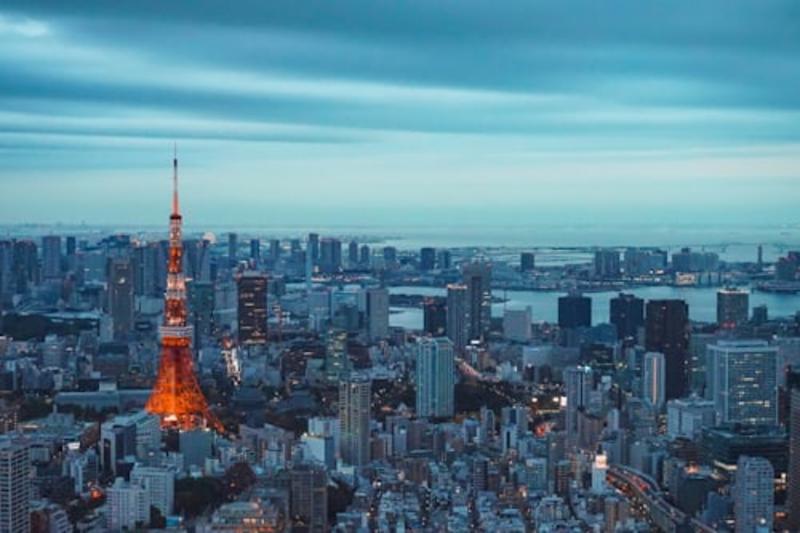 2 Day Tokyo & Mount Fuji Private Tour by Car | Hotel Pickup Gallery Image 2