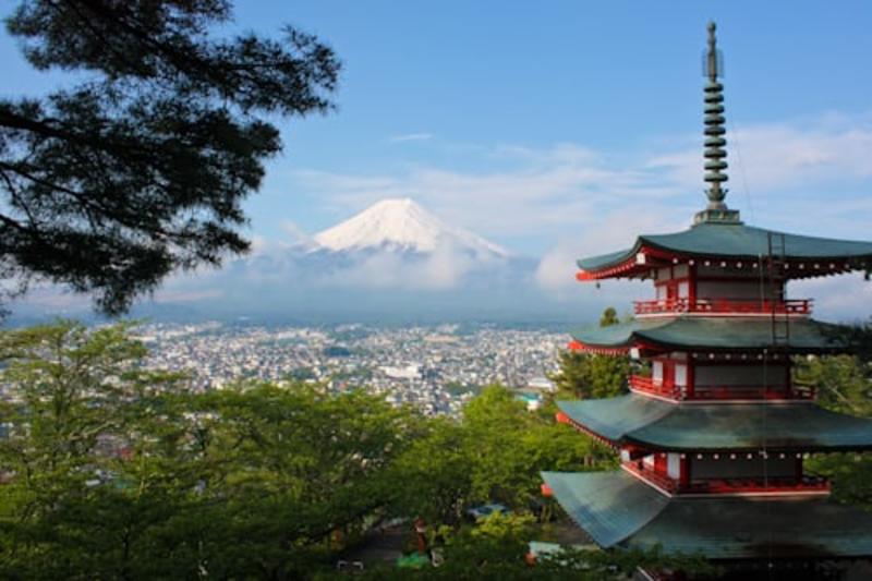 2 Day Tokyo & Mount Fuji Private Tour by Car | Hotel Pickup Gallery Image 5