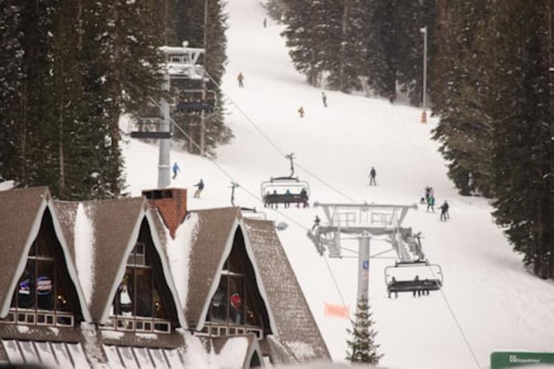 Private Snow Resort Tours from Tokyo | Niigata & Tochigi Gallery Image 1