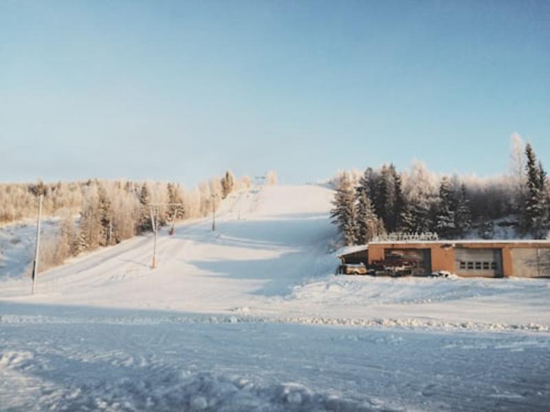 Private Snow Resort Tours from Tokyo | Niigata & Tochigi Gallery Image 3