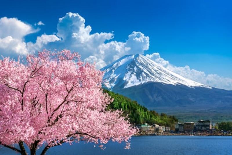 2 Day Tokyo & Mount Fuji Private Tour by Car | Hotel Pickup Gallery Image 1