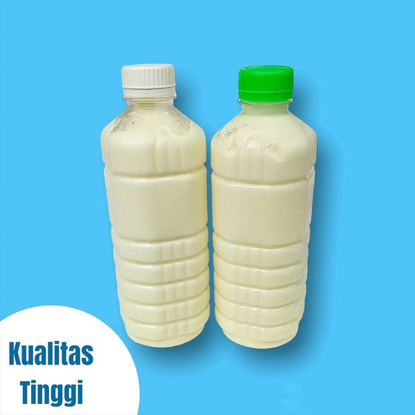 susu kambing segar