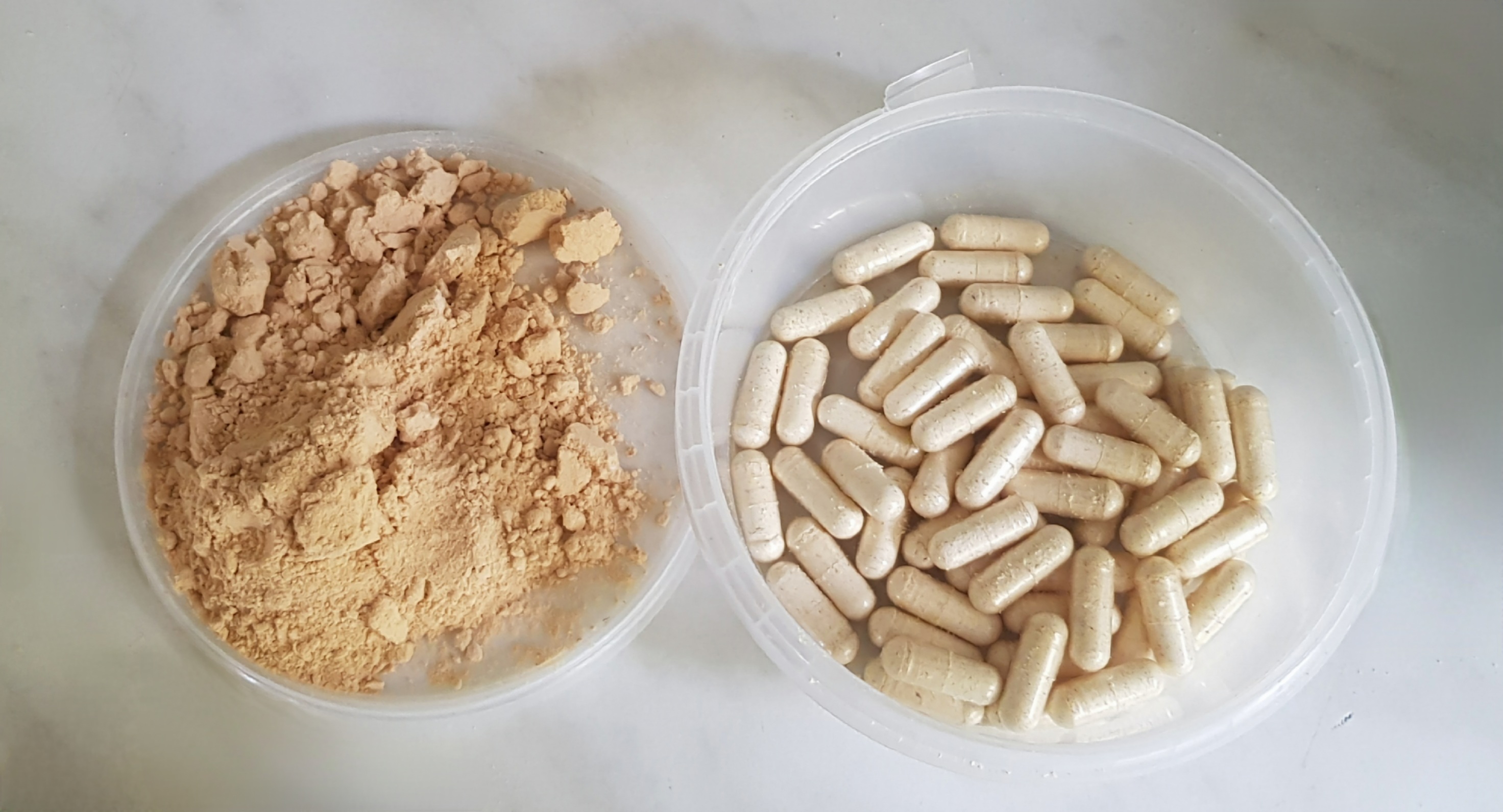 Powdered Lion's Mane mushroom capsules