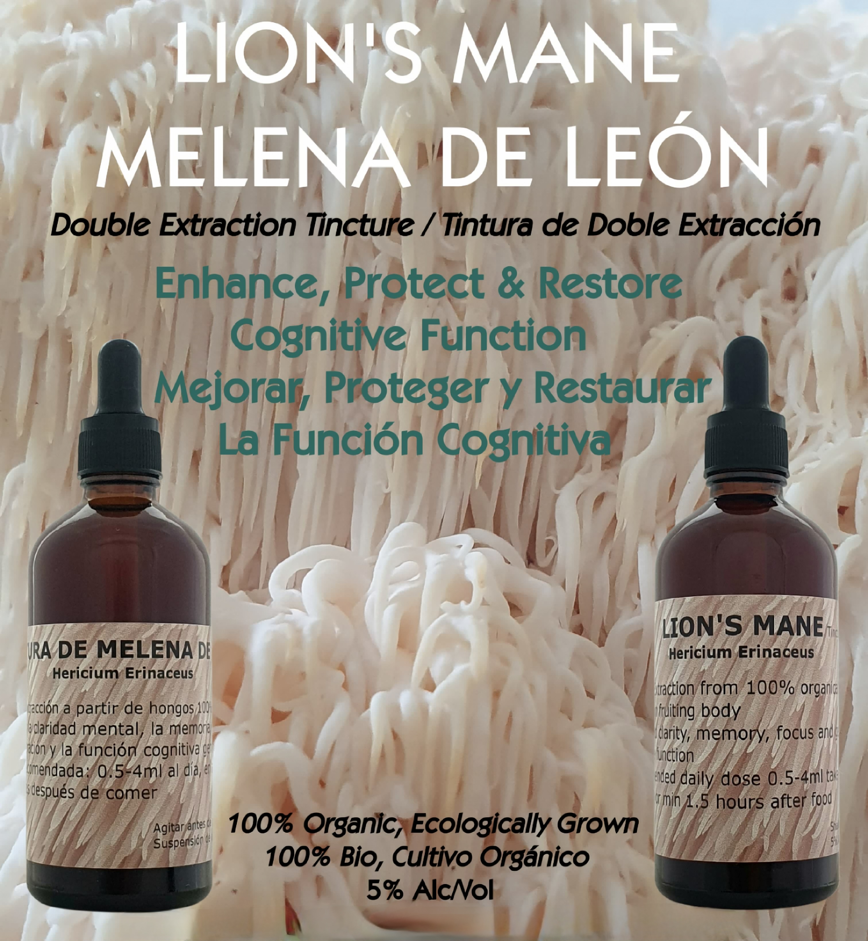 Lion's Mane dual-extraction tincture showing health benefits