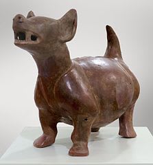 Xoloitzcuintle