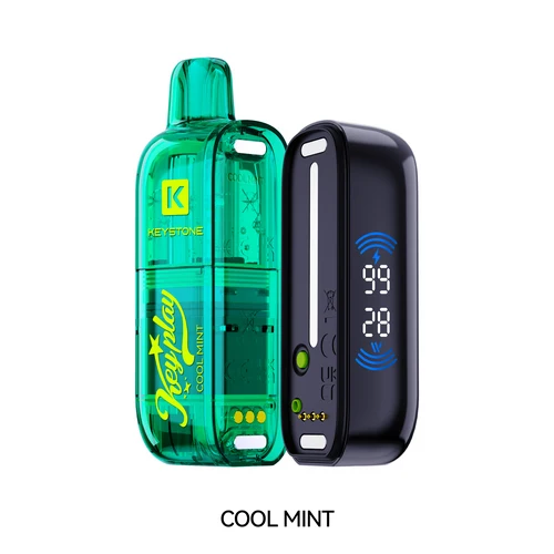 VFEEL KEYPLAY COOL MINT COOL MINT VFEEL KEYPLAY Disposable Vapes available at Puff N Pass Vapes in Abbotsford BC