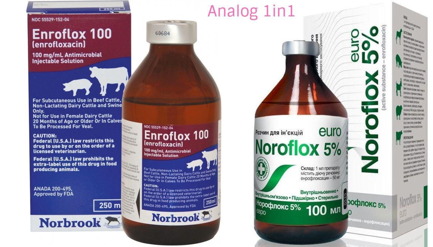 enrofloxacin dog side effects