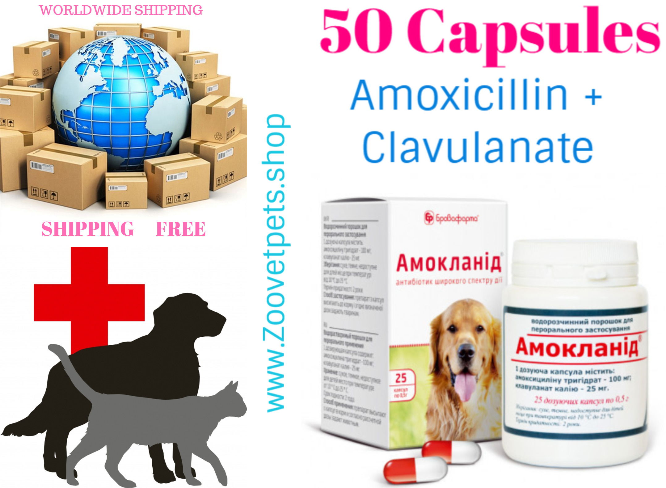50 Capsules ( Amoxicillin + Clavulanic acid )  analog Clavamox ®, Synulox®